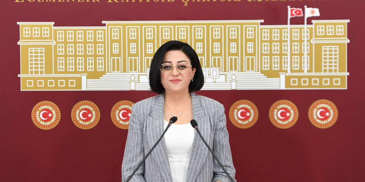Öznur Bartın’dan orman yangınlarıyla ilgili soru önergesi