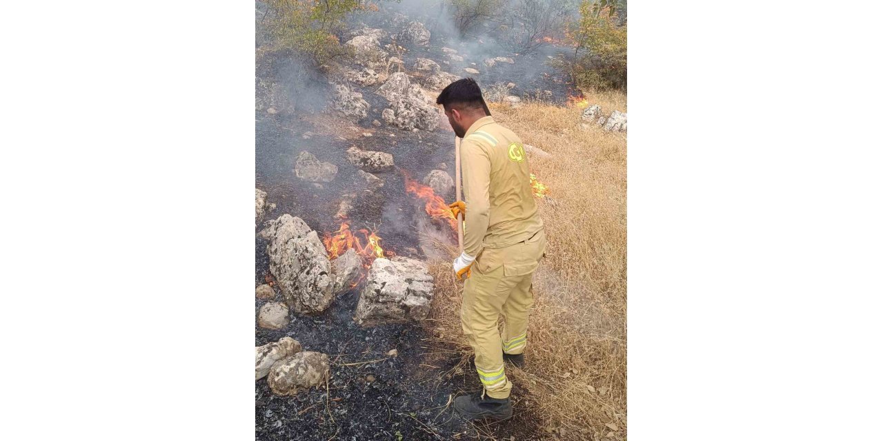 Siirt’te orman yangını büyümeden kontrol altına alındı