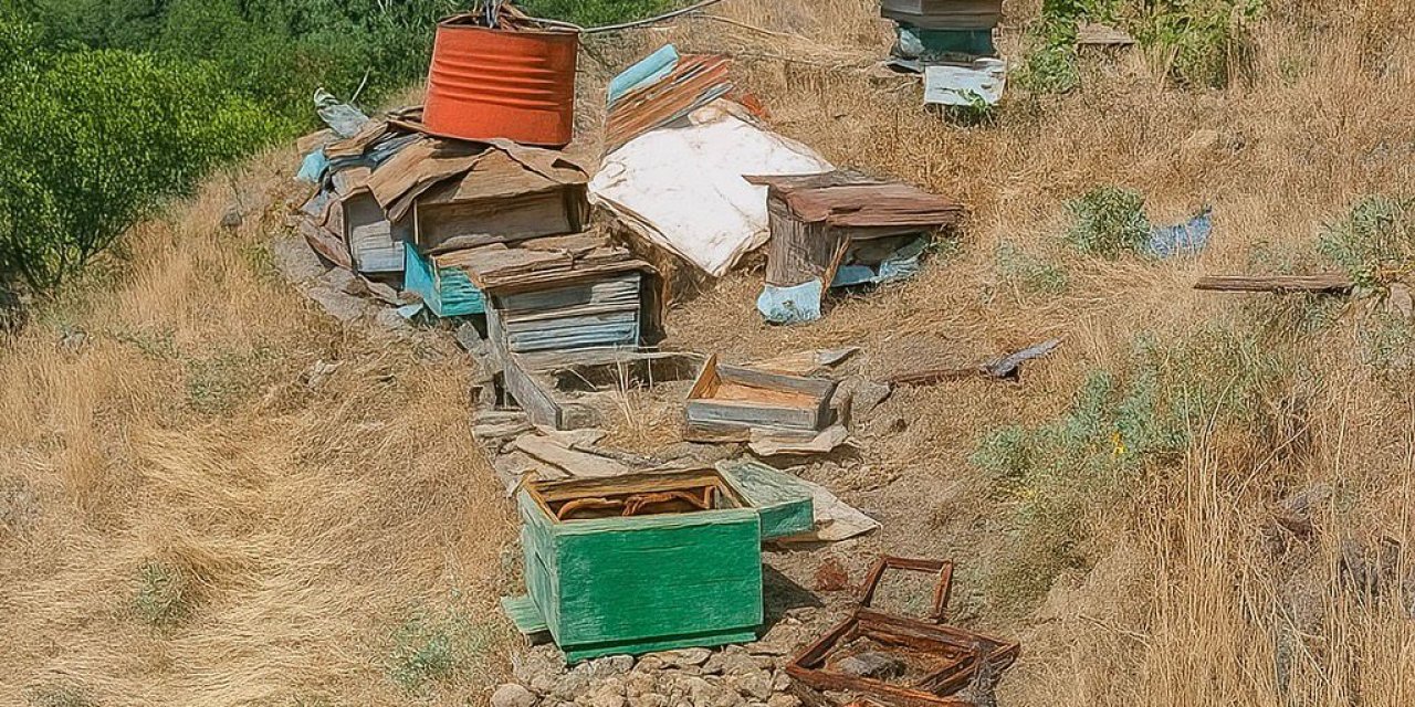 Yüksekova’da aç kalan ayılar arı kovanlarına saldırdı