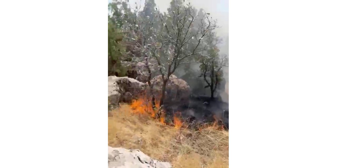 Ormanlık alanda çıkan yangın kontrol altına alındı