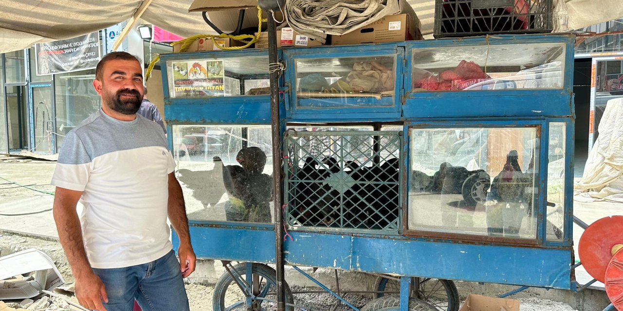 Kümes hayvanları satıcısı Tekin: “Yüksekova’da bu iş yaygınlaşmalı”