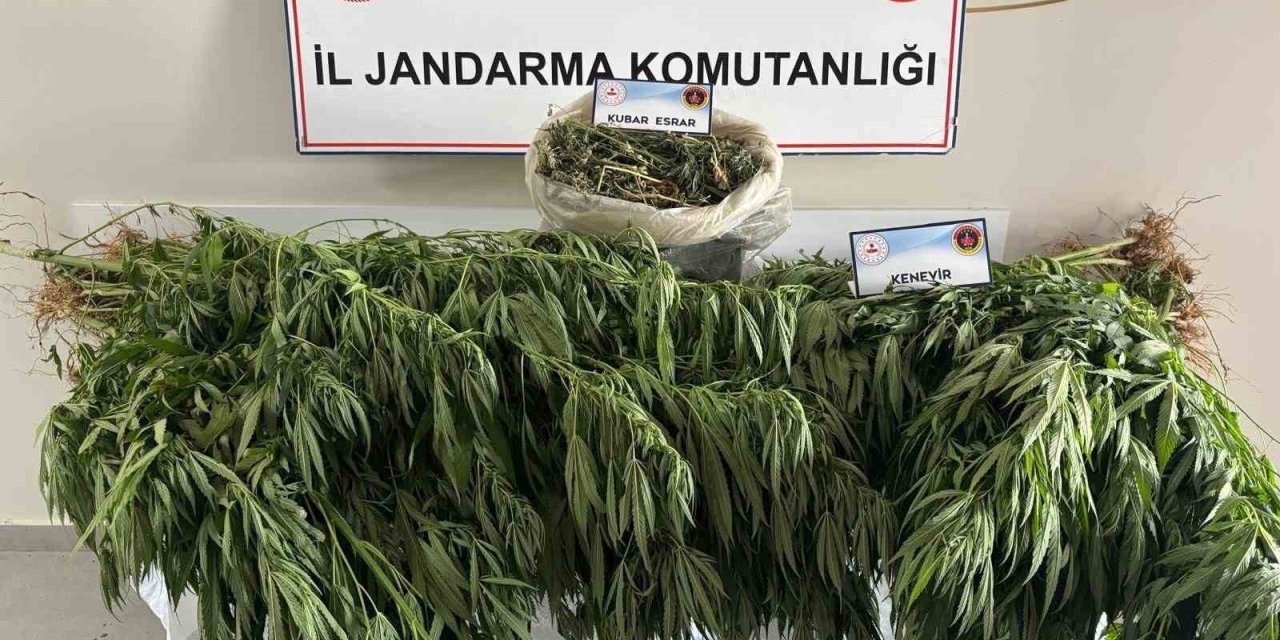 Malatya’da uyuşturucu operasyonu