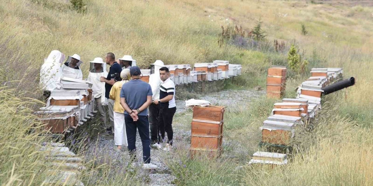 Bitlis Eren Üniversitesinde yüksek kaliteli bal hasadı