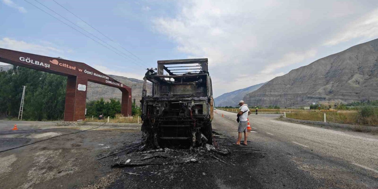 Erzurum-Artvin yolunda tır alev aldı