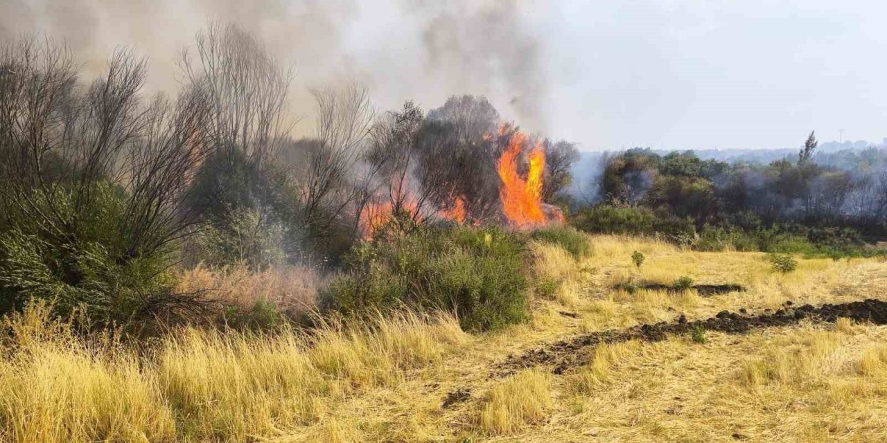 Diyarbakır’da örtü yangını söndürüldü