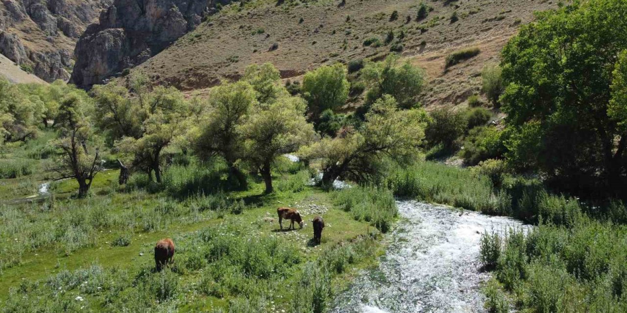 Girlevik Şelalesi’ne hayat veren gözeler, ziyaretçilerin akınına uğruyor