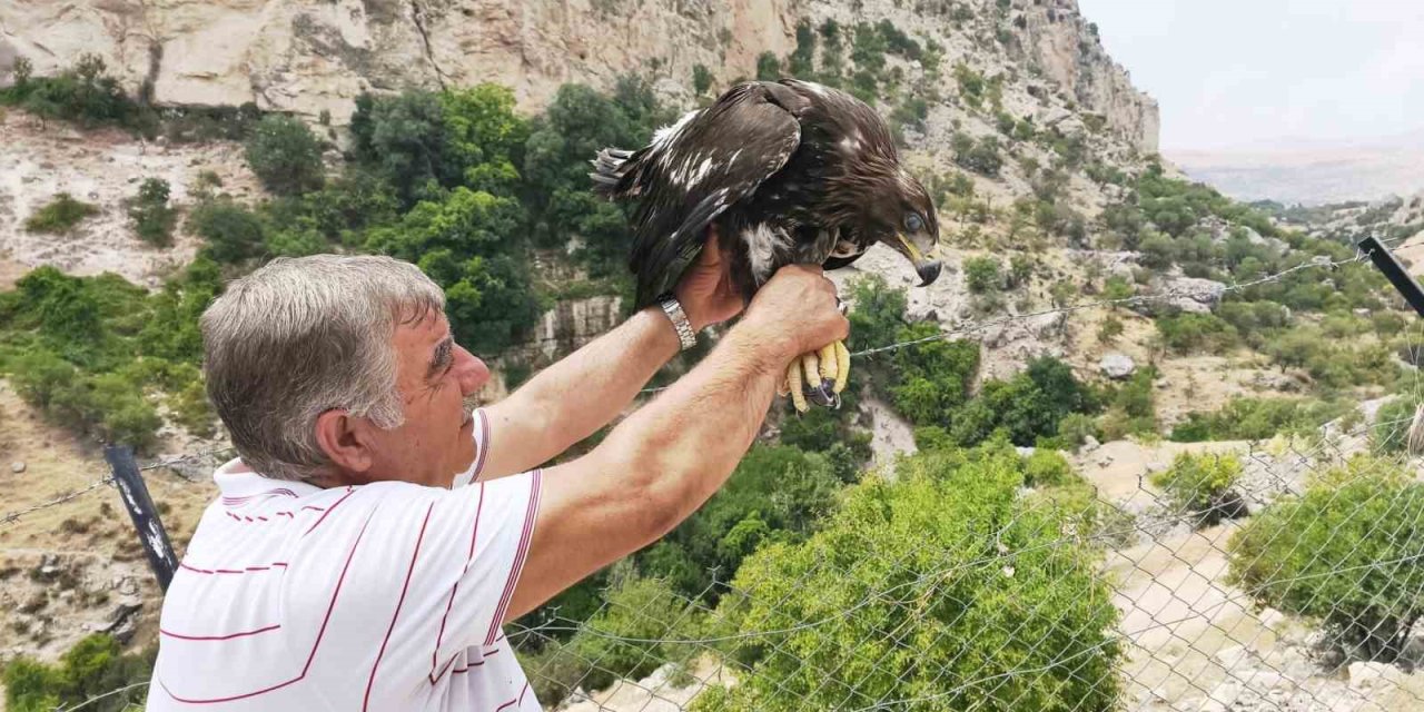 Tunceli'de kaya kartalı ile şahsın dostluğu görenleri şaşırtıyor