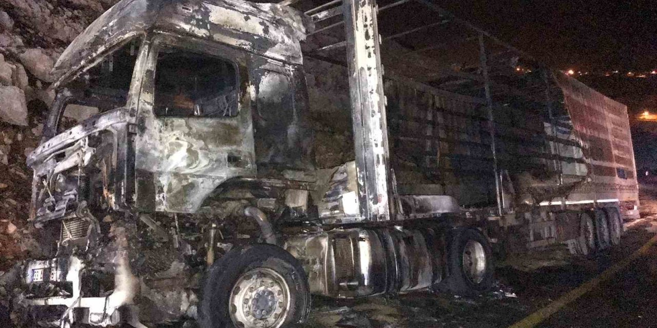 Mardin’de tur alevlere teslim oldu