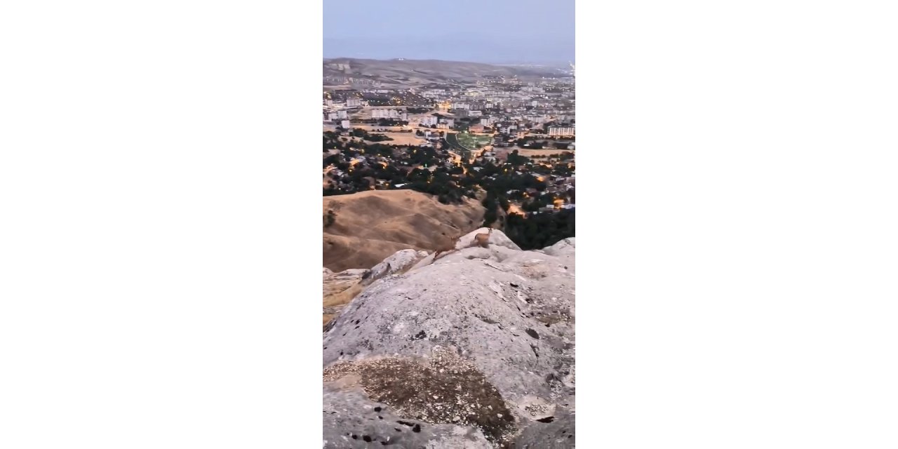 Elazığ’da dağ keçileri görüntülendi