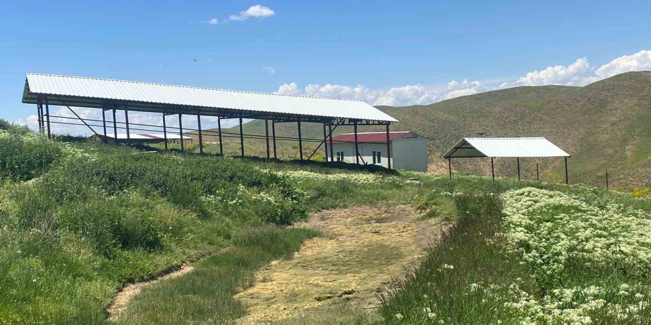 Siirt’te mera ıslah projesi hayata geçirildi