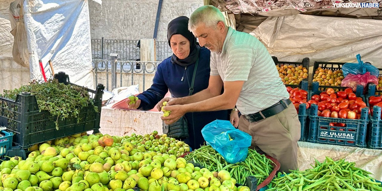 Yüksekova’da Dağlıca’nın doğal elma ve armutları tezgâhlarda