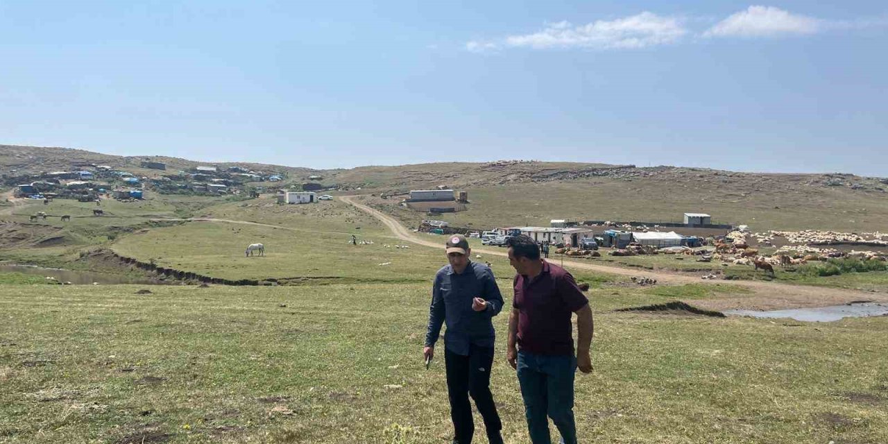 Kars’ta şap hastalığıyla mücadele devam ediyor