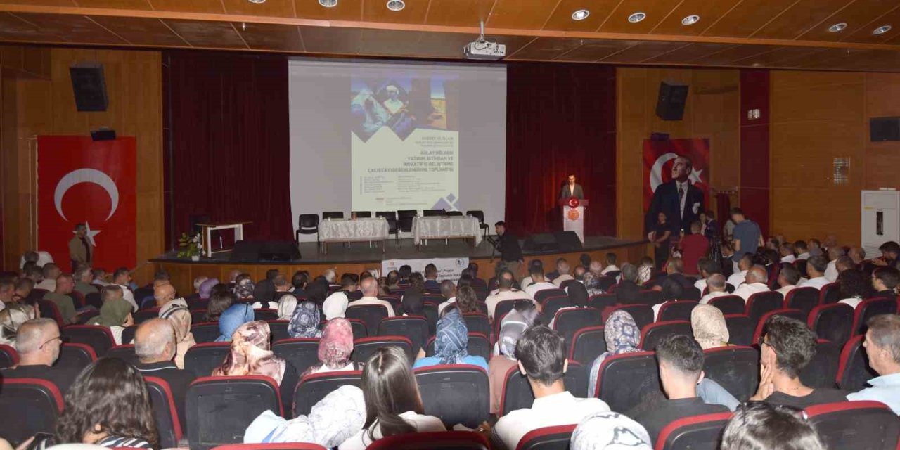 Ahlat’ta yatırım ve istihdam çalıştay değerlendirme toplantısı