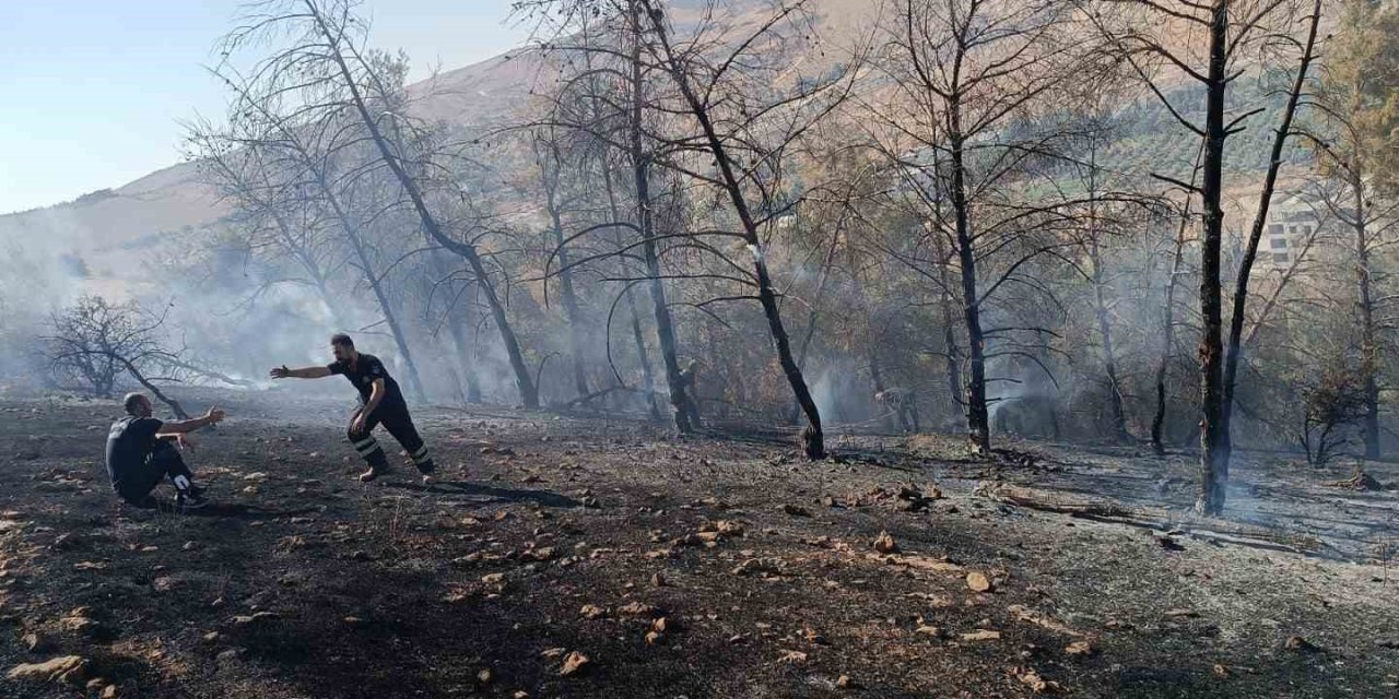 Urfa’da ağaçlık alanda çıkan yangın söndürüldü
