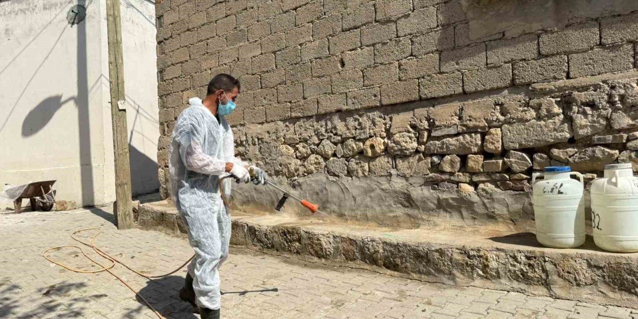 Akreplerin istila ettiği köyde ilaçlama yapıldı