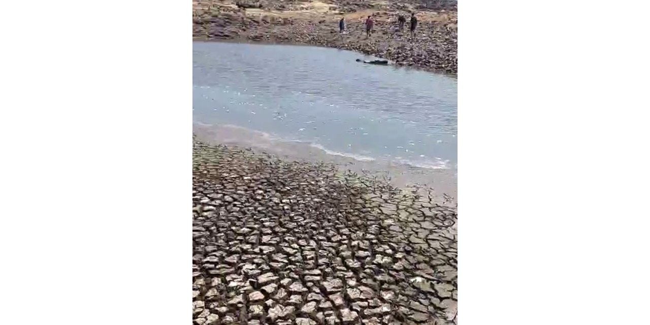 Siverek’teki gölette sular çekildi, balıklar telef oldu
