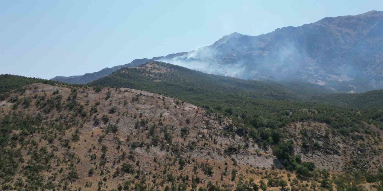 Beytüşşebap'taki orman yangını 9 saatte kontrol altına alındı