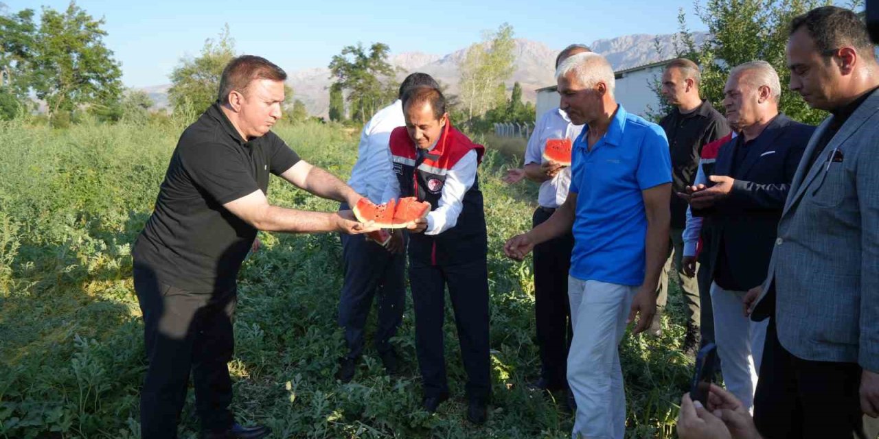 Erzincan'da karpuz hasadı başladı