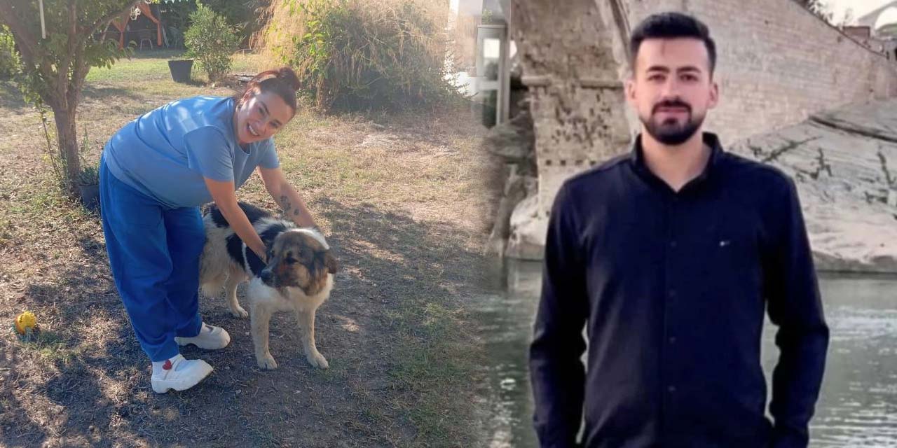 Sahibinin mezarından ayrılmayan köpek, sanatçı Ceylan Ertem’e teslim edildi