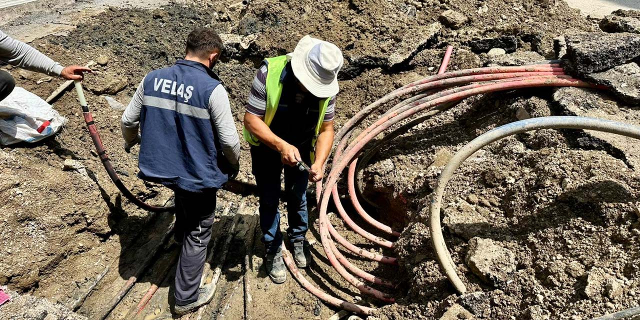 Yüksekova’da elektrik şebekesi bakım ve onarım çalışmaları sürüyor