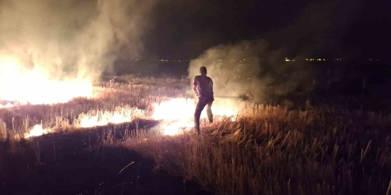 Muş’ta yaşanan anız yangını korkuttu