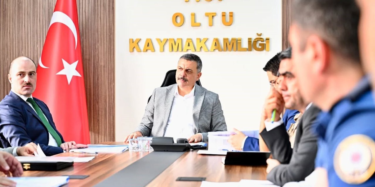 Erzurum: Çoban köpeklerine mikroçip takılacak