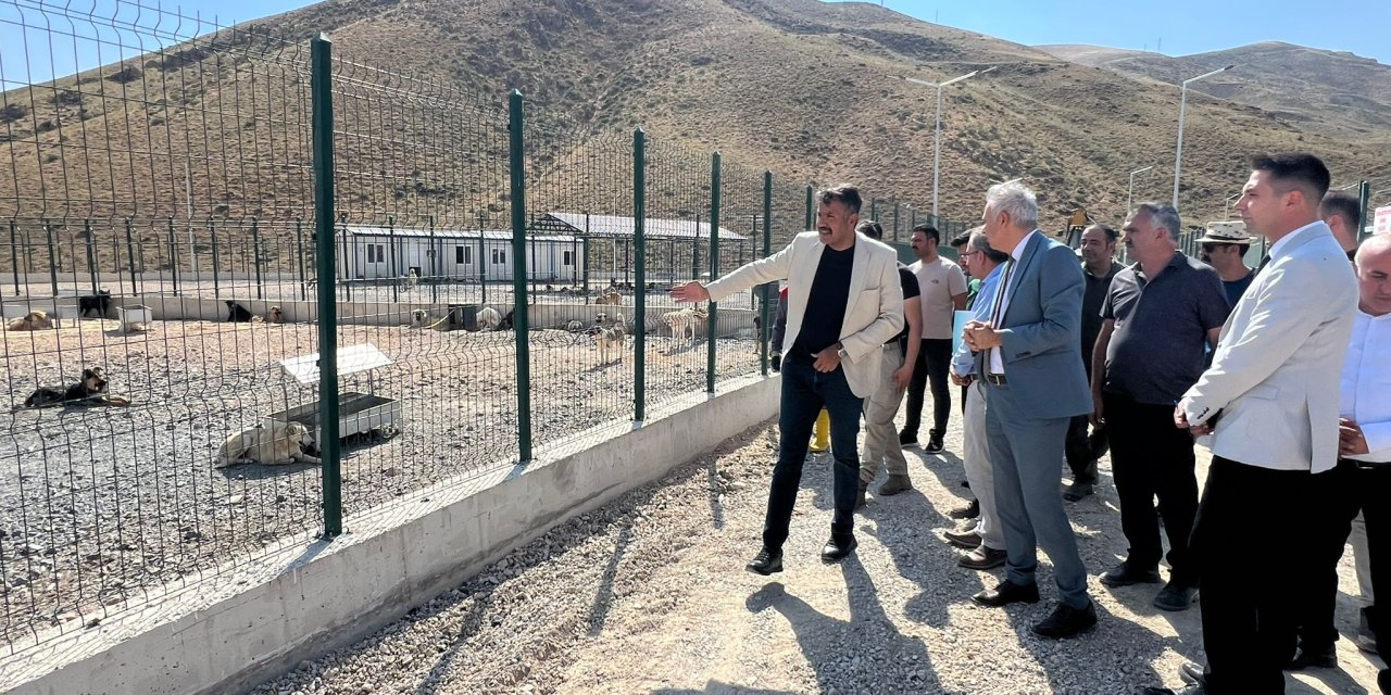 Yüksekova'daki dev hayvan barınağı projesi tamamlanmak üzere