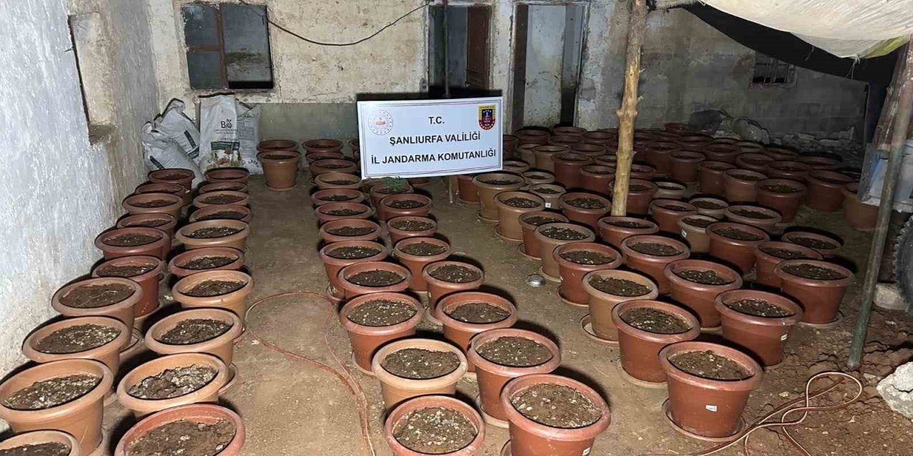 Şanlıurfa’da silah kaçakçılığı operasyonunda 7 gözaltı