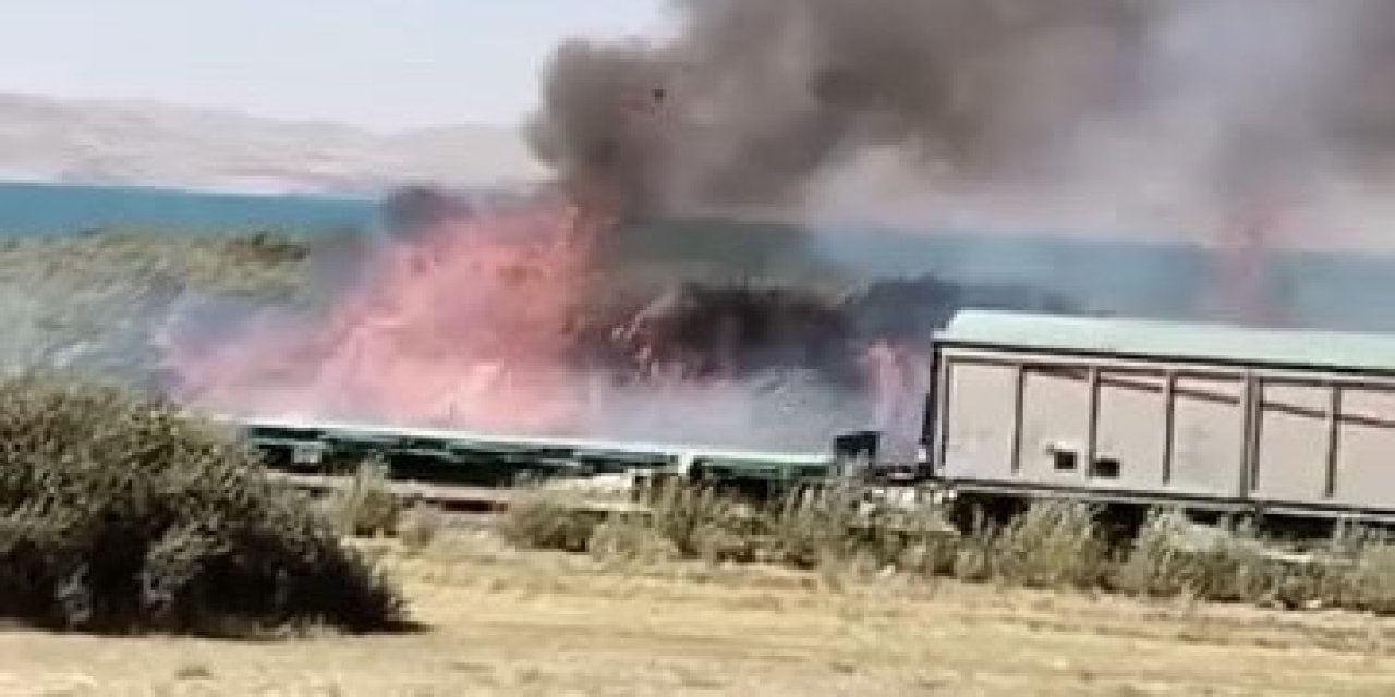 Van’da Erçek Gölü sazlıklarında yangın çıktı