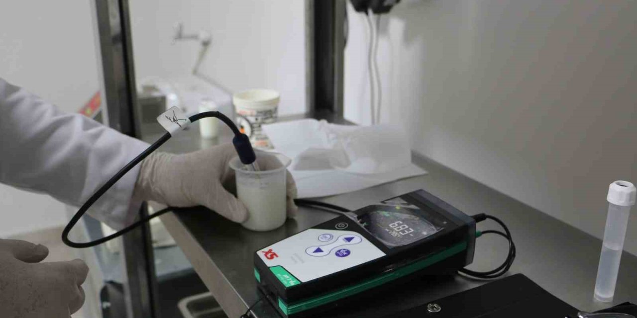 Diyarbakır’dan Kahramanmaraş dondurmasına rakip çıktı