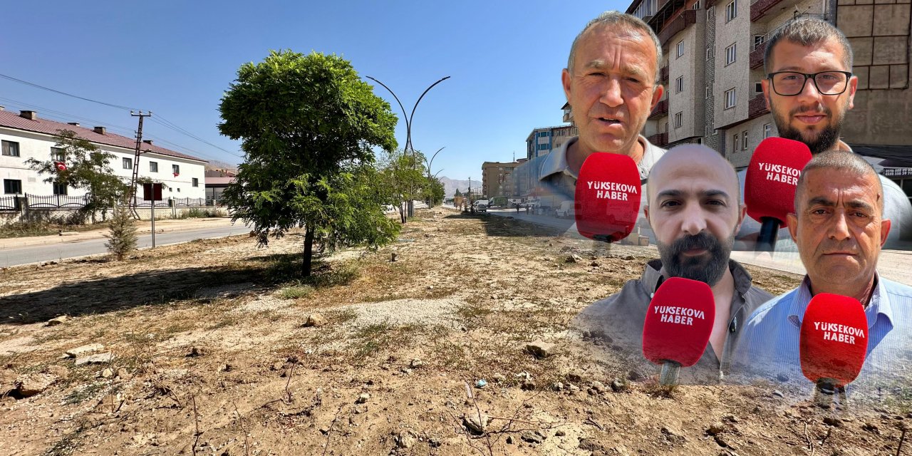 Yüksekova’da vatandaşlardan orta refüj tepkisi: Kuruyan 4 bin fidan gece yarısı kesildi