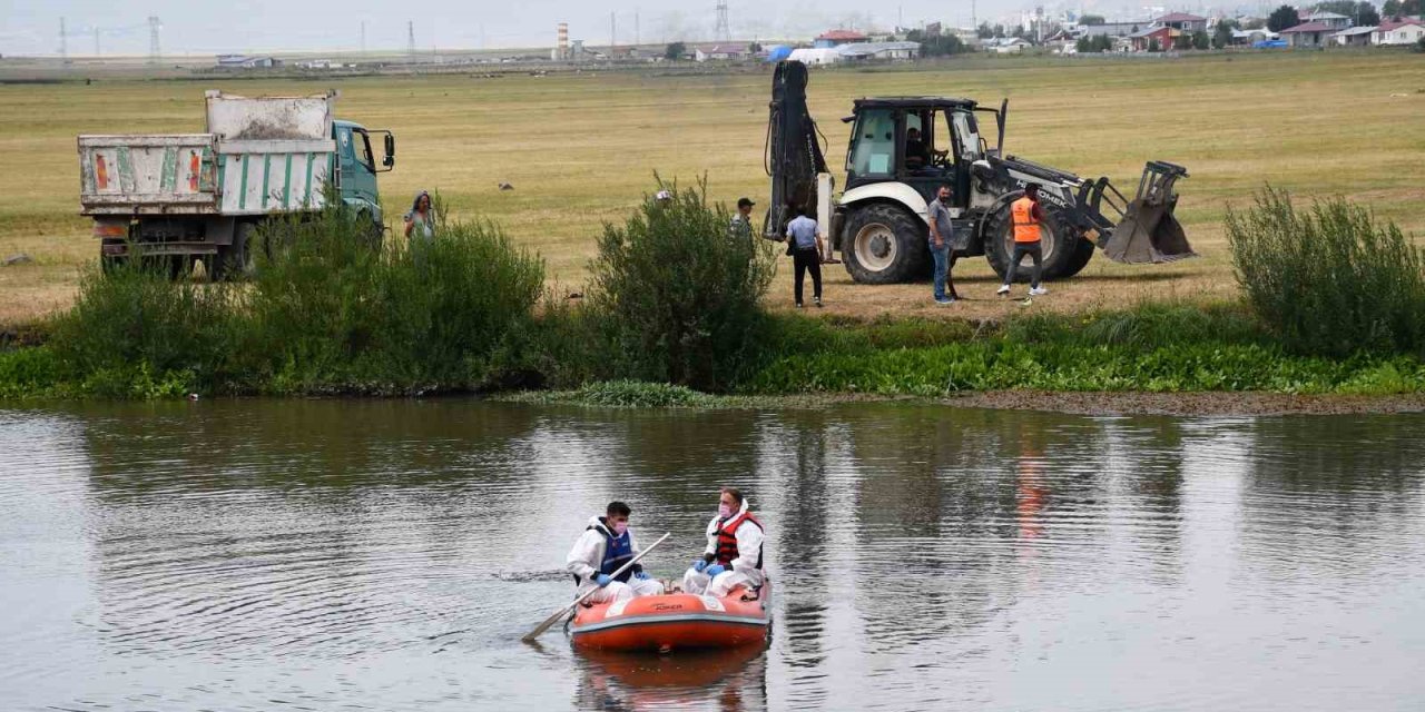 Kura nehrine düşen inek can verdi