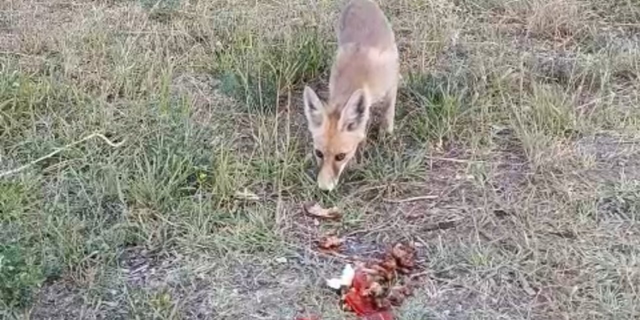 Yüksekova'da İlhan öğretmenden anlamlı davranış