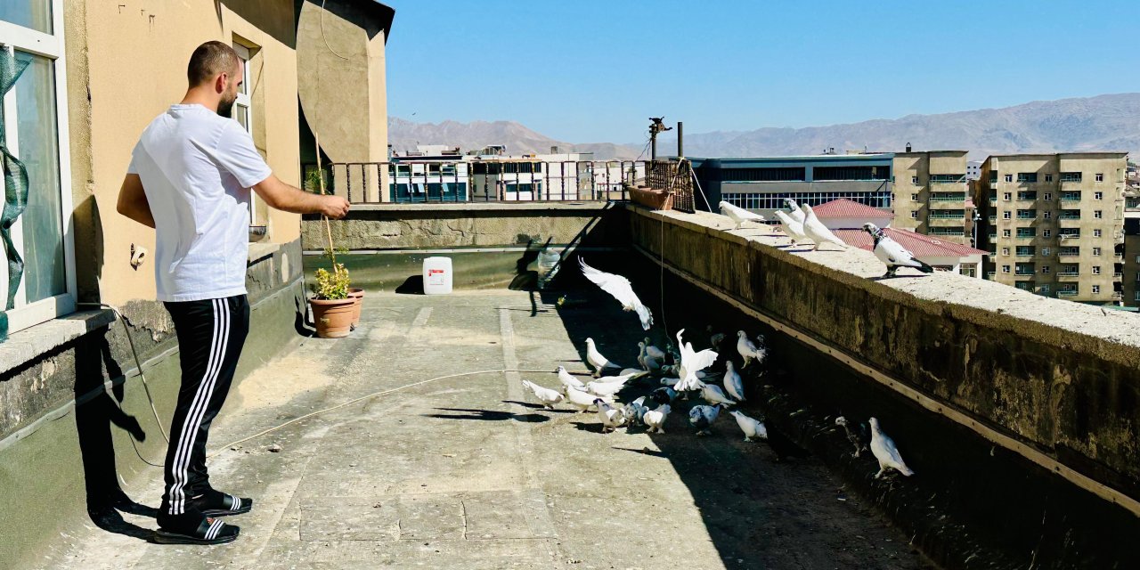 Yüksekova’da 15 yıldır süren güvercin tutkusu: “Onlarla uğraşmak bir tür hayat felsefesi”