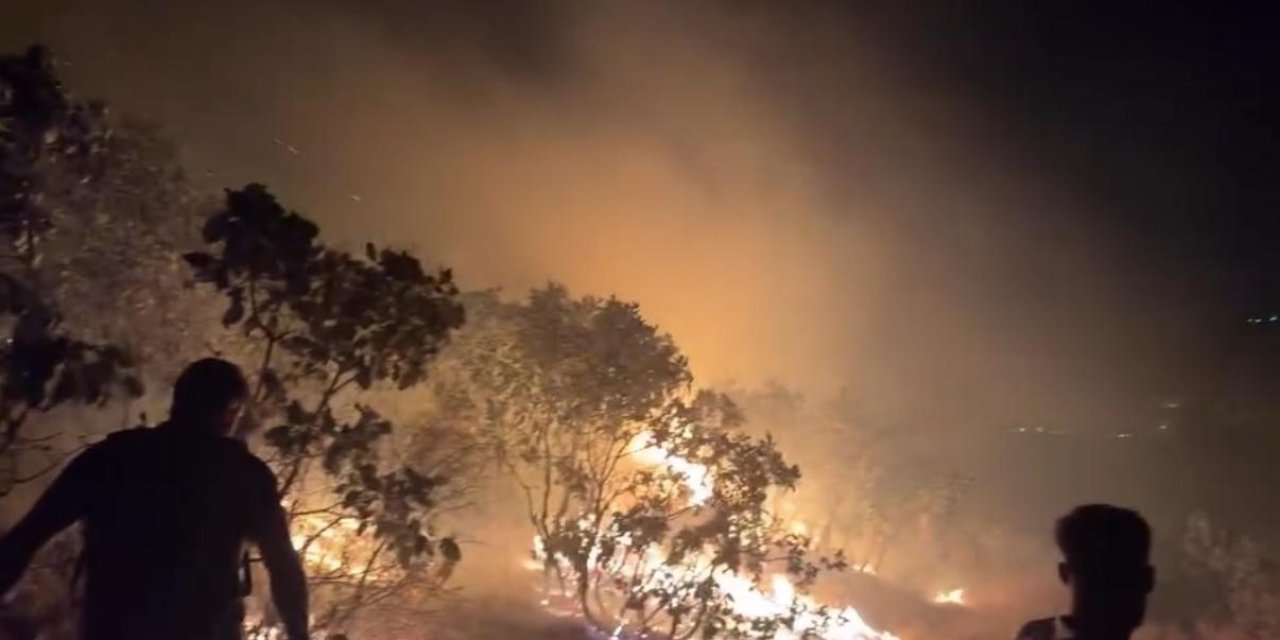 Diyarbakır’da ormanlık alanda çıkan yangın kontrol altına alındı