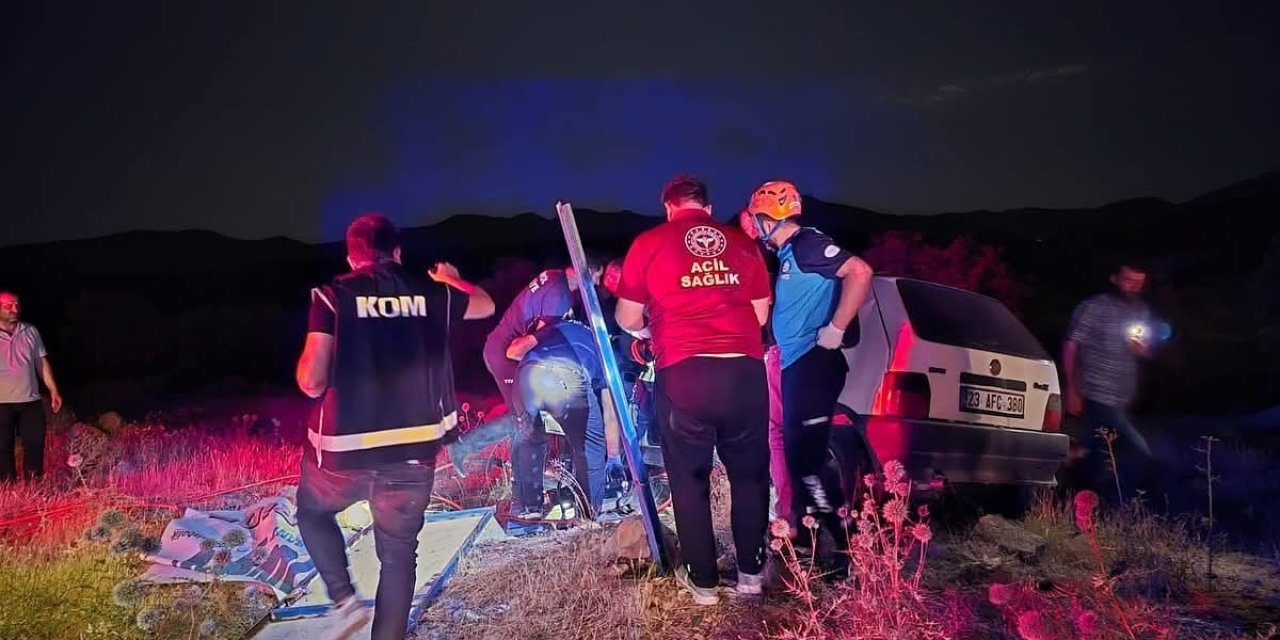 Bingöl’de otomobil ata çarptı: 2 kişi yaralandı