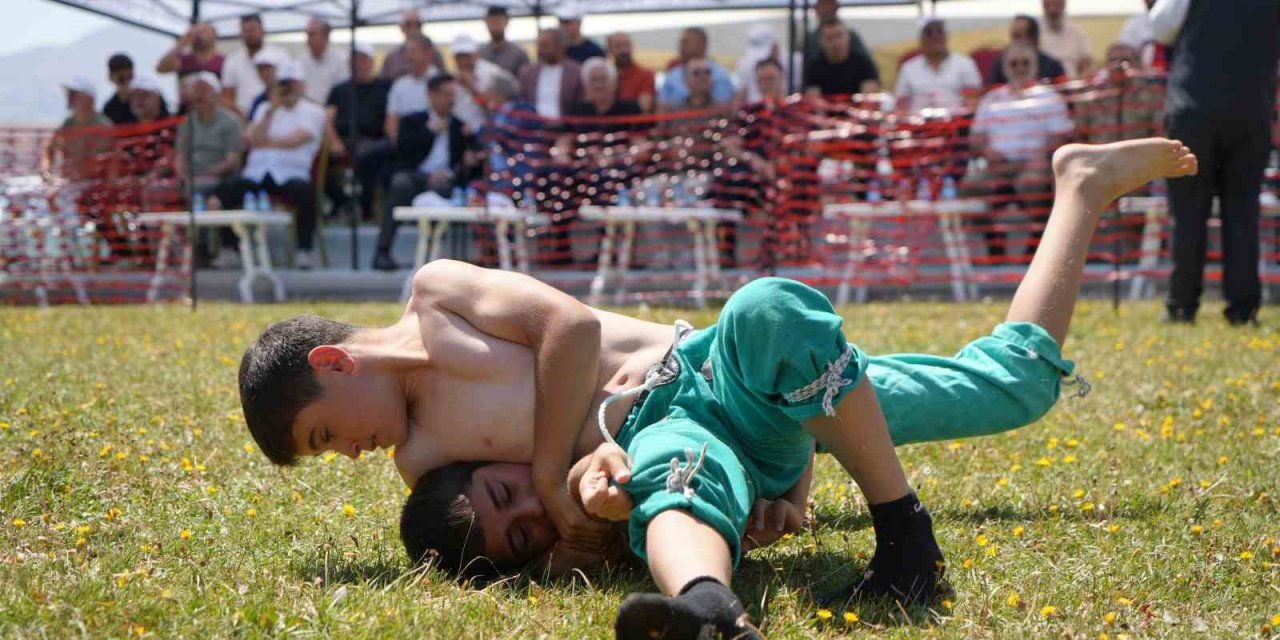 Erzurum Ovası’nda güreş festivaline ilgi