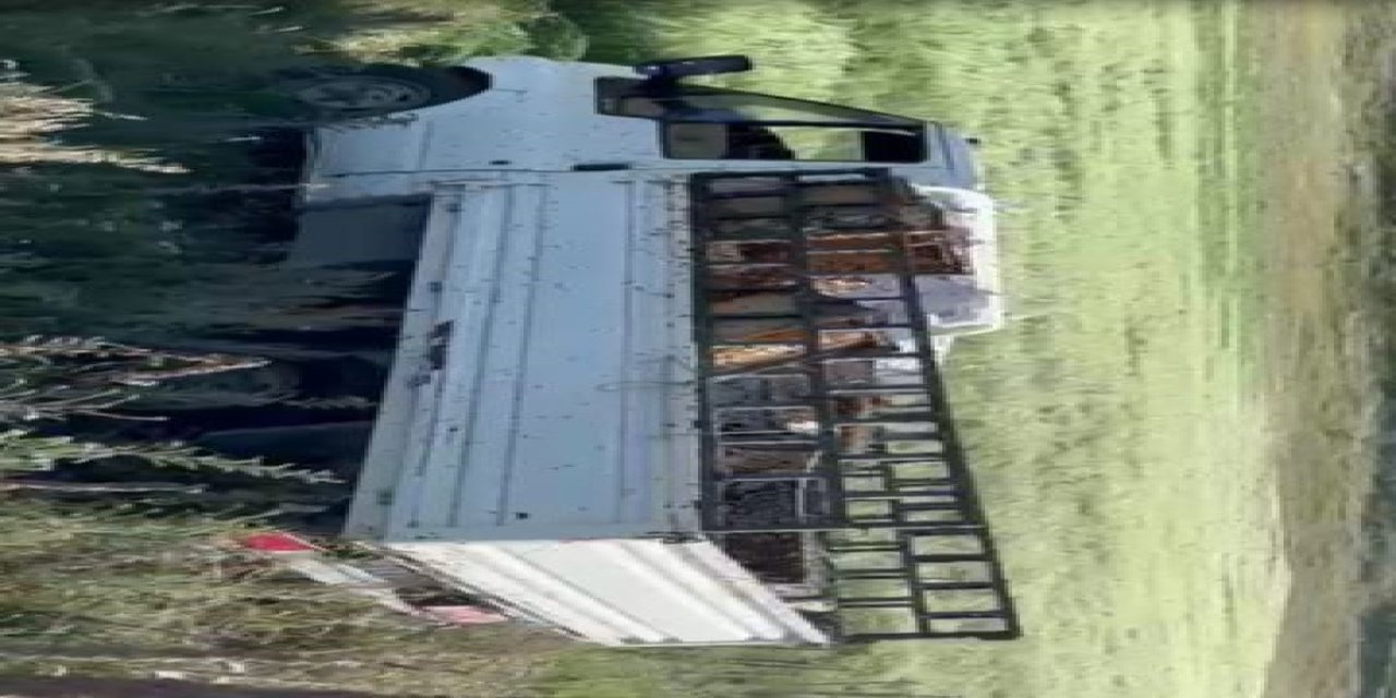 Ardahan'da kovan yüklü kamyonet devrildi, arılar etrafa yayıldı