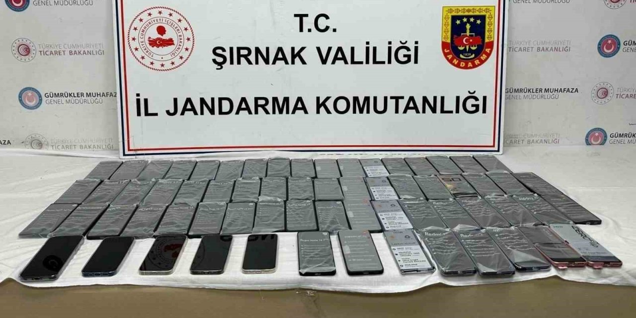 Şırnak’ta jandarmadan kaçakçılık operasyonu