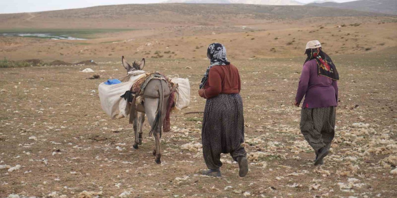 Muş’ta yaylacılar dönüş hazırlığında