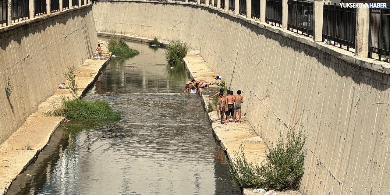 Yüksekova’da çocuklar kirli derede yüzdü, zabıta devreye girdi