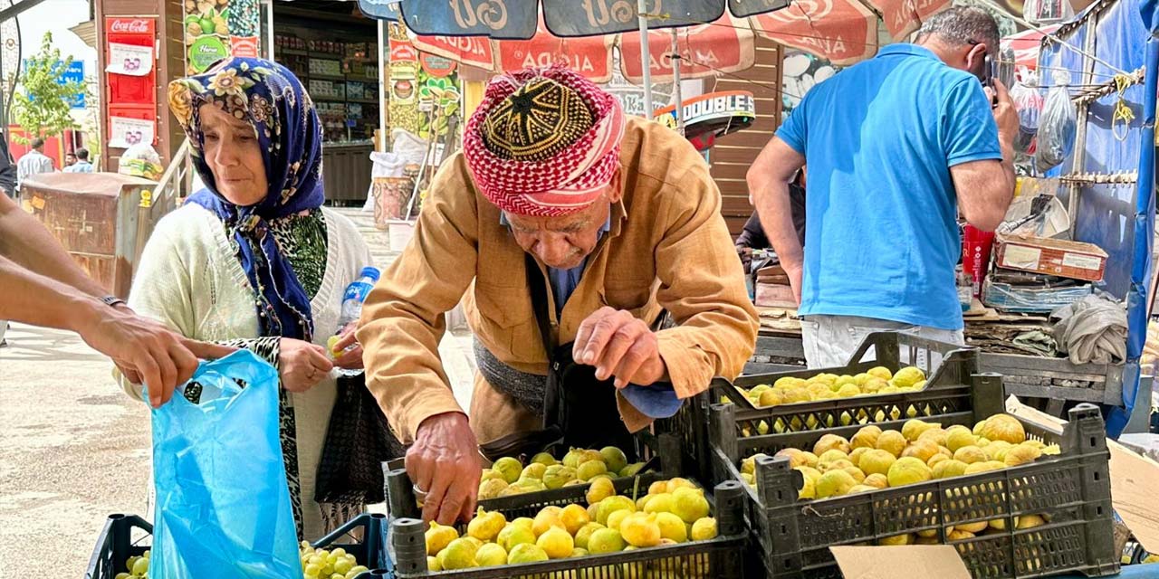 Çukurca’nın yaş incirleri tezgahlarda yerini aldı