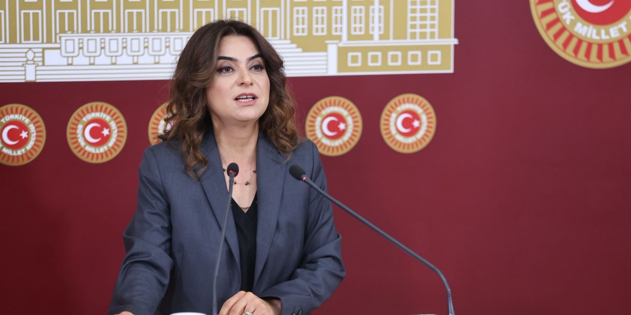 Koçyiğit’ten Sağlık Bakanı’na Hakkari ASM tepkisi