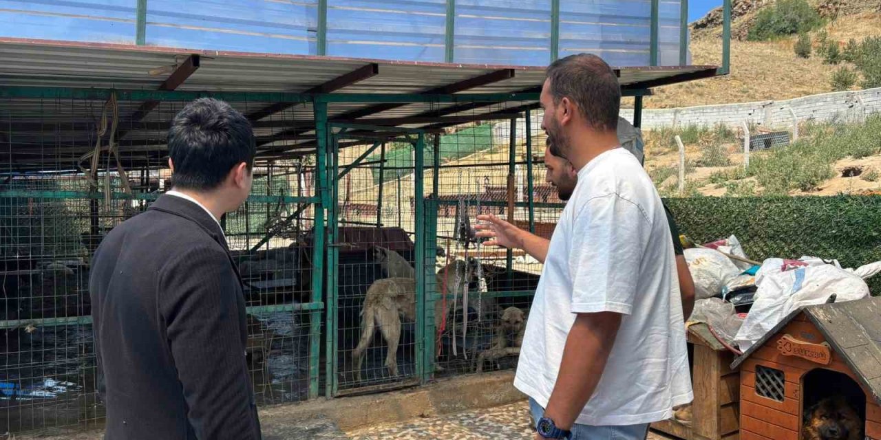 Kaymakam Tutal, Hayvan Barınağı’nı inceledi