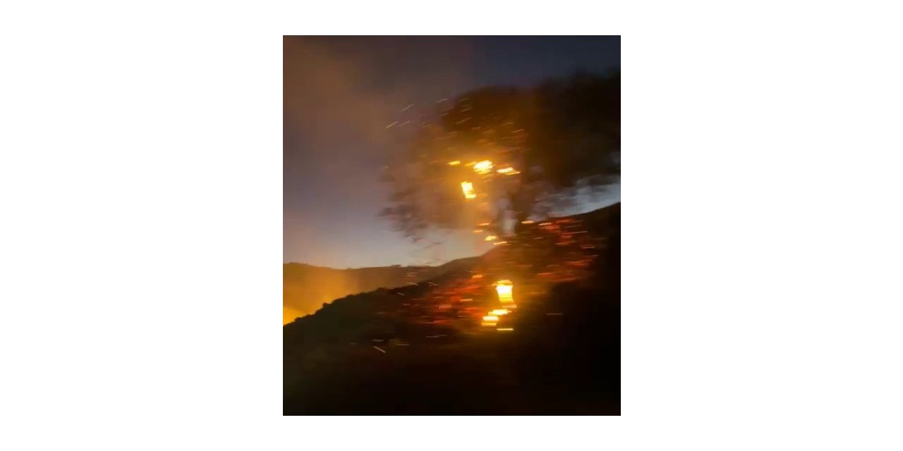 Anız yangını bahçeye sıçradı