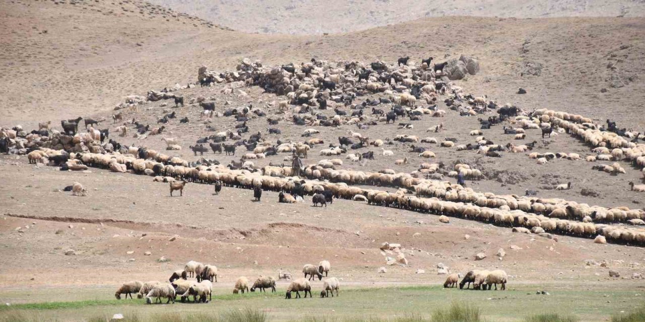 Şırnak'ta göçerler yayladan inmeye başladı