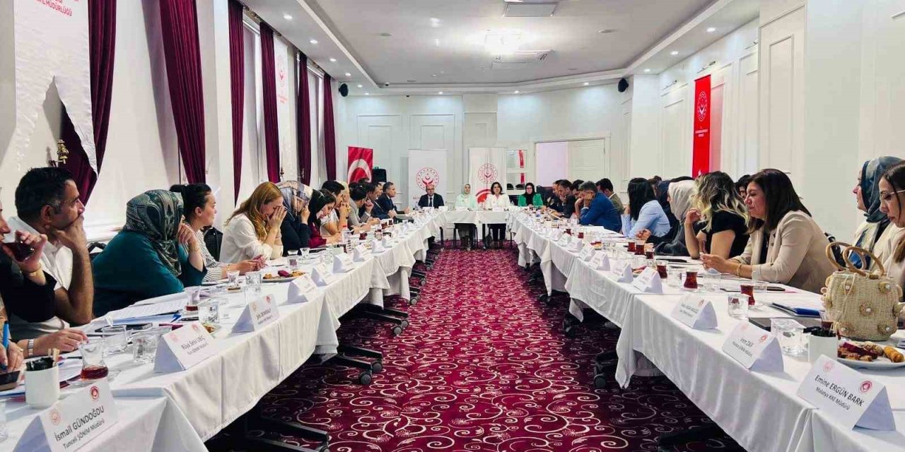 Van’da ‘Kadın Hizmetleri Bölgesel İstişare Toplantısı’ düzenlendi