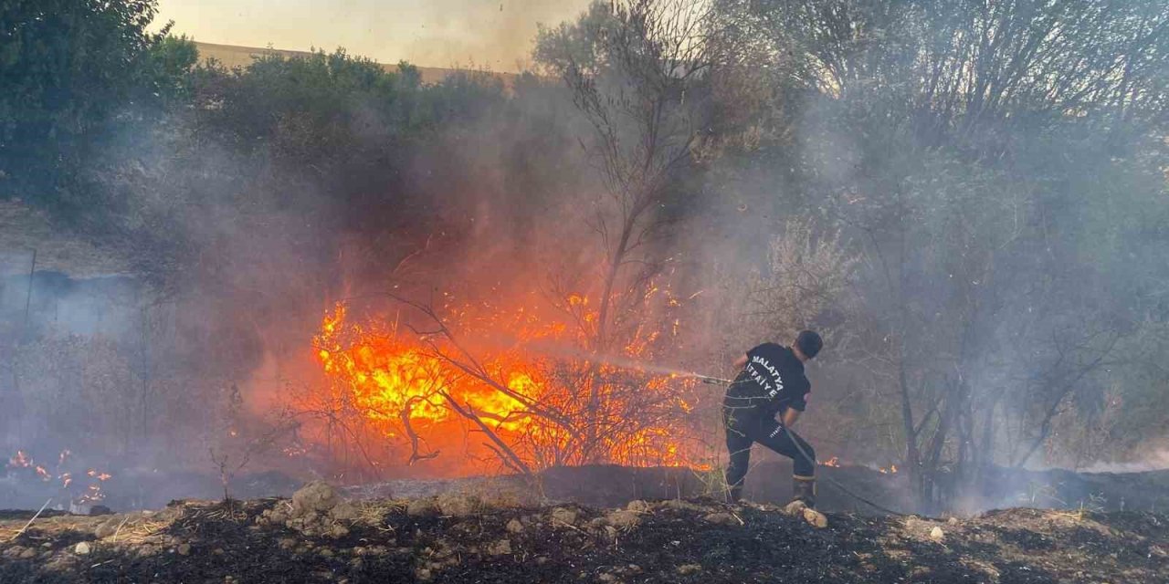 Malatya’da anız yangınında 50 dönümlük arazi kül oldu