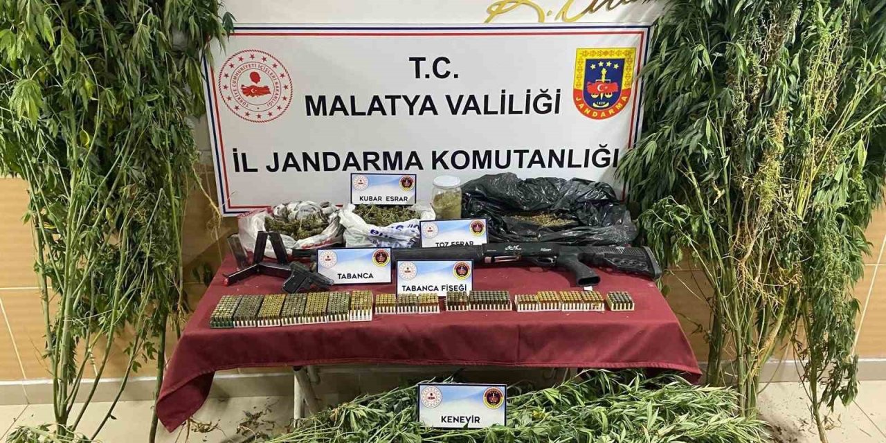jandarmadan uyuşturucu operasyonunda 1 gözaltı