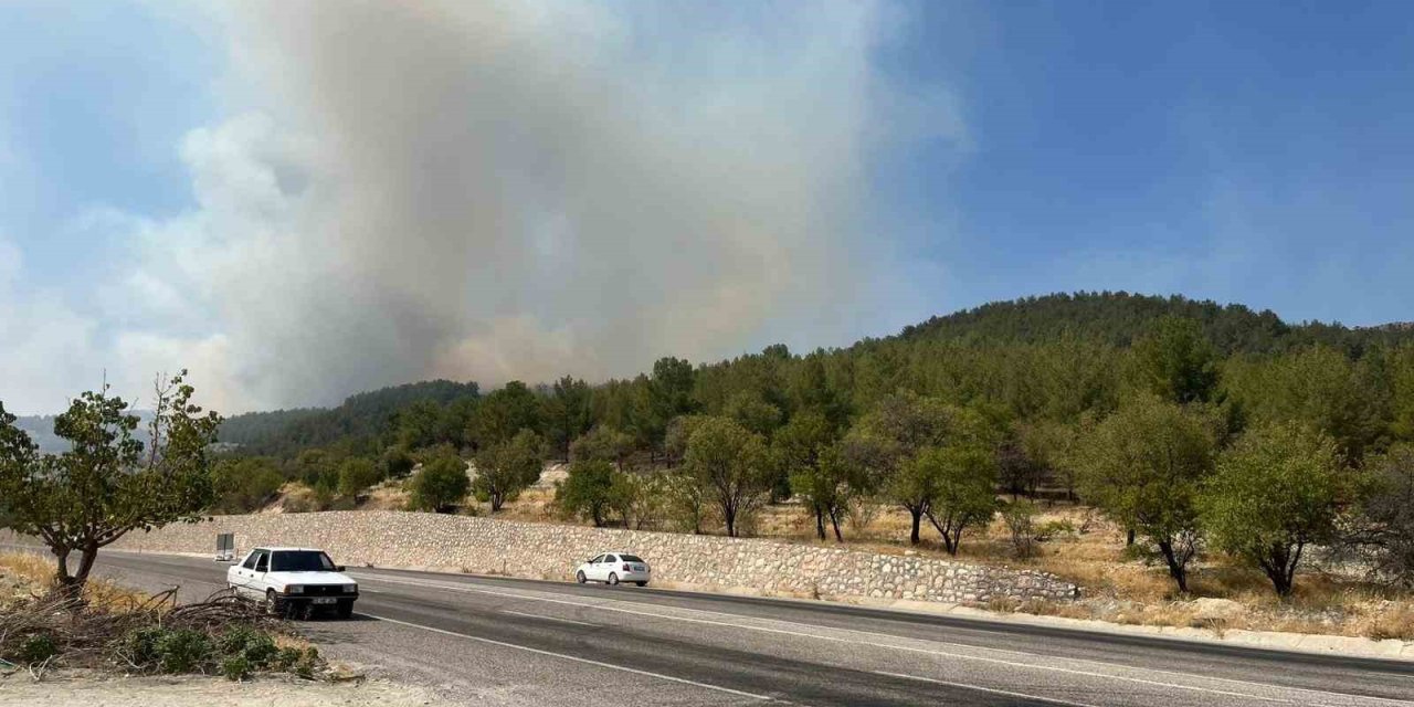 Adıyaman’da orman yangını korkuttu